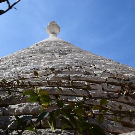 マルティナ・フランカ Quei Trulli Divini Bed & Breakfast エクステリア 写真