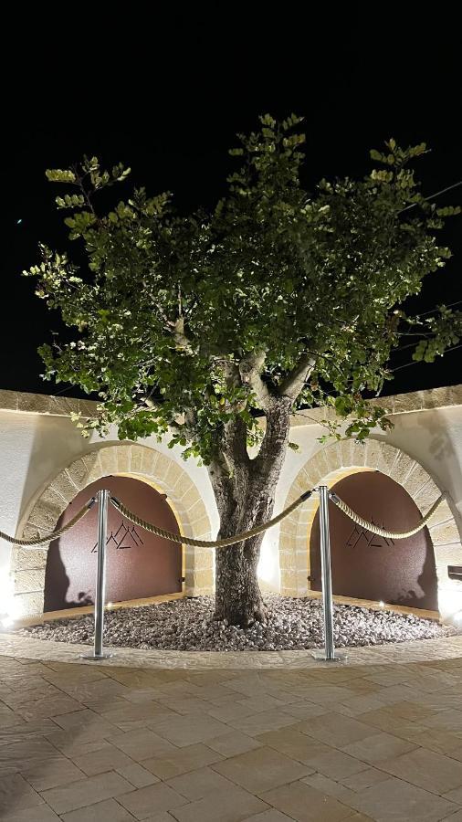 マルティナ・フランカ Quei Trulli Divini Bed & Breakfast エクステリア 写真